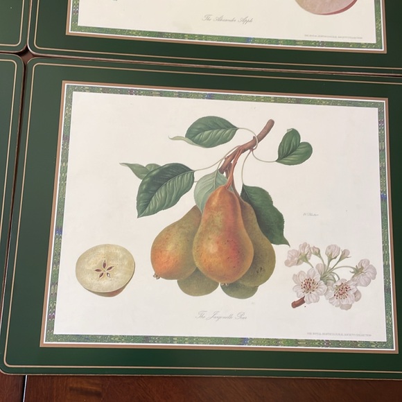 VTG PIMPERNEL Brunch Fruits Placemats Set of 3 Cork back Made in England - Picture 4 of 9